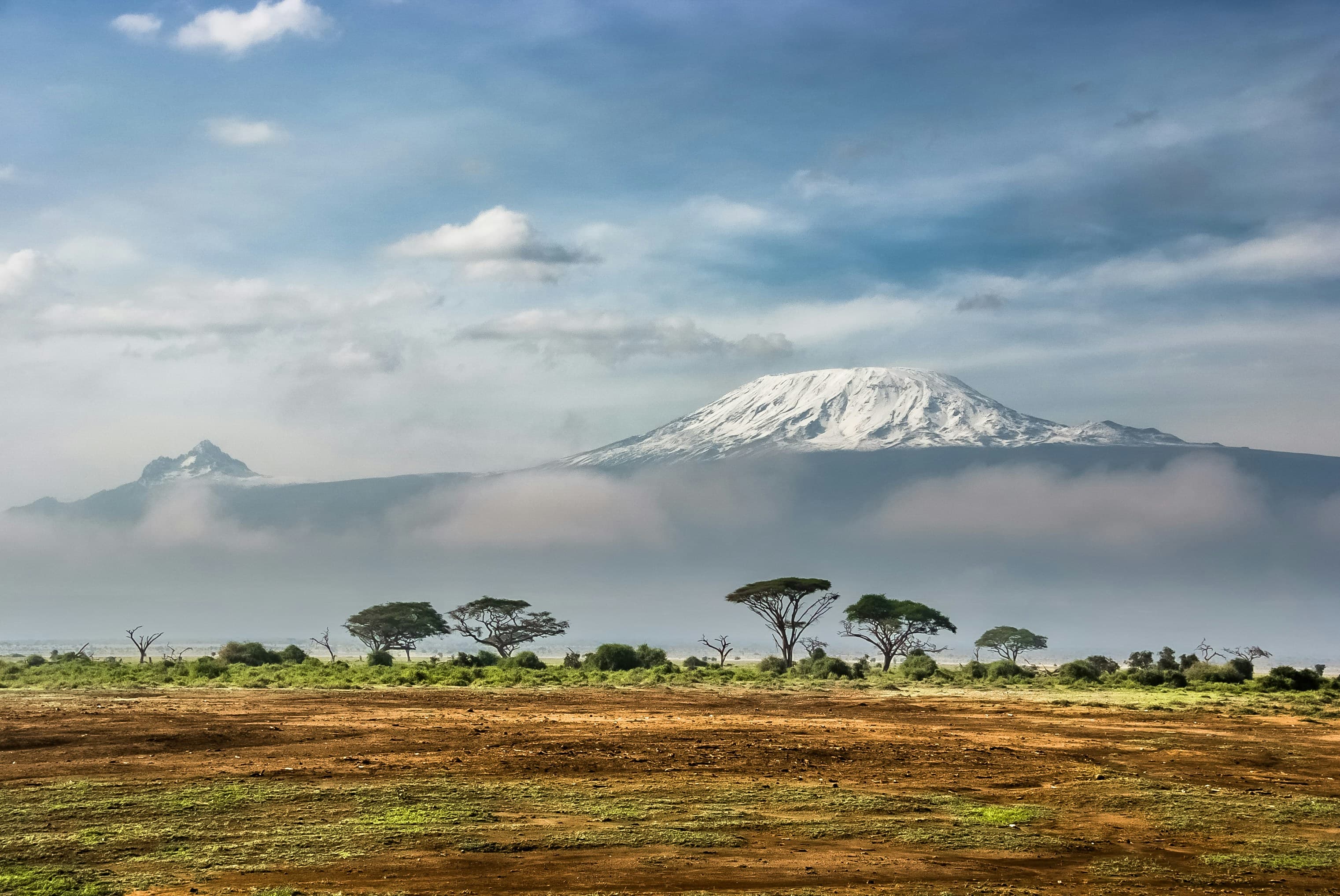 Foto di copertina — Tanzania: safari e mare a Zanzibar