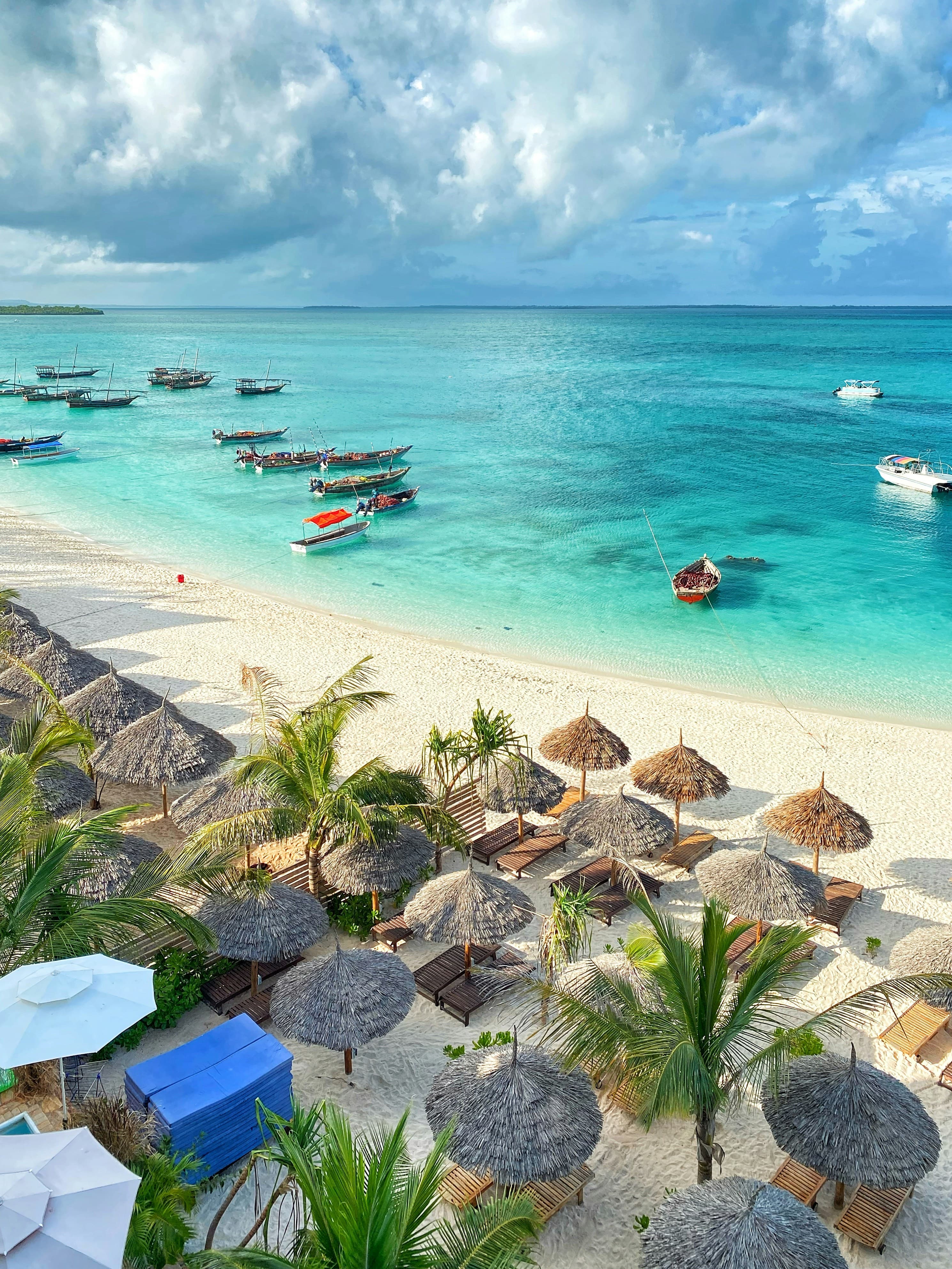 Dettaglio — Tanzania: safari e mare a Zanzibar