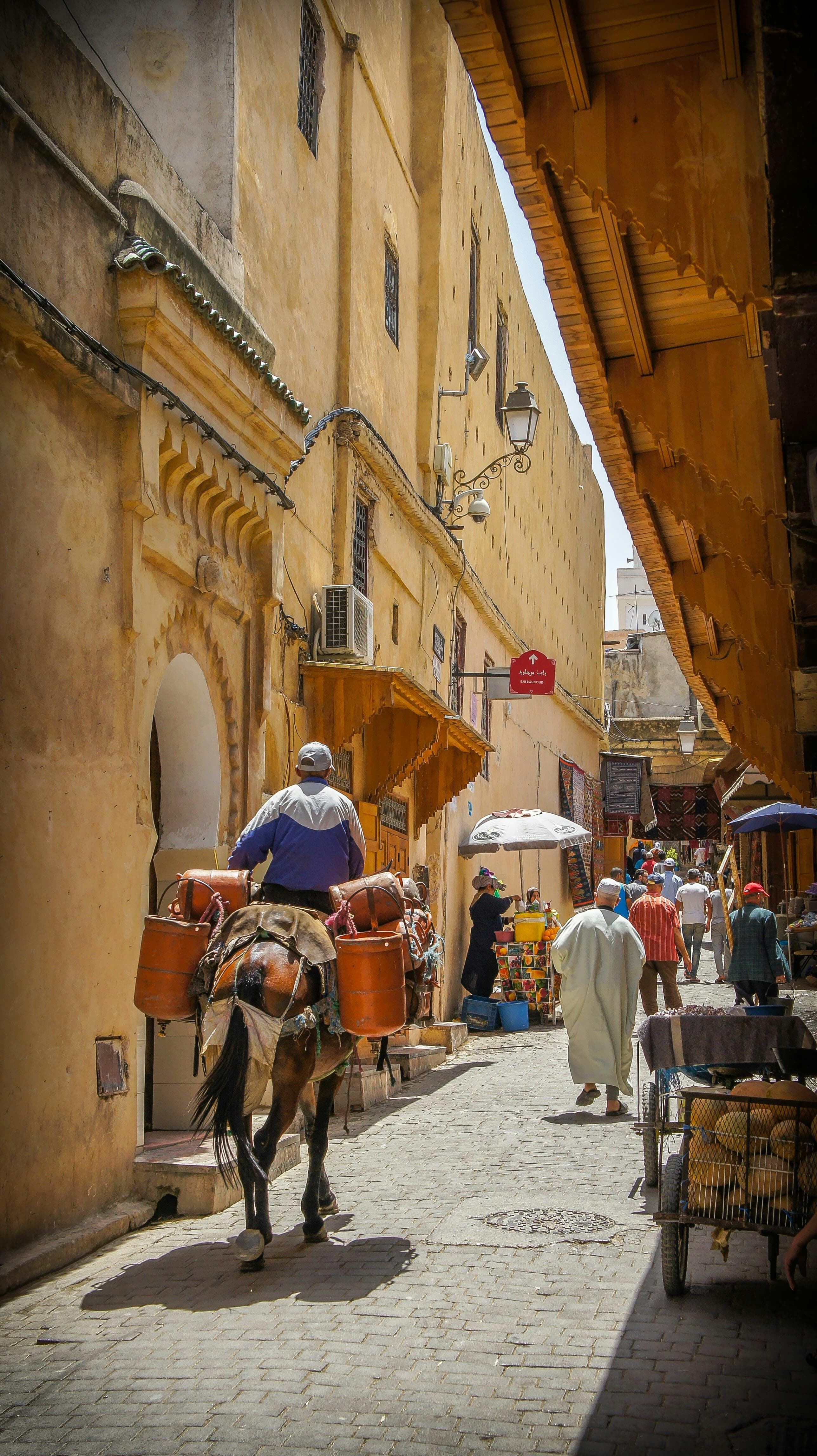 Marocco: colori, profumi e tradizioni arabe — promo 2