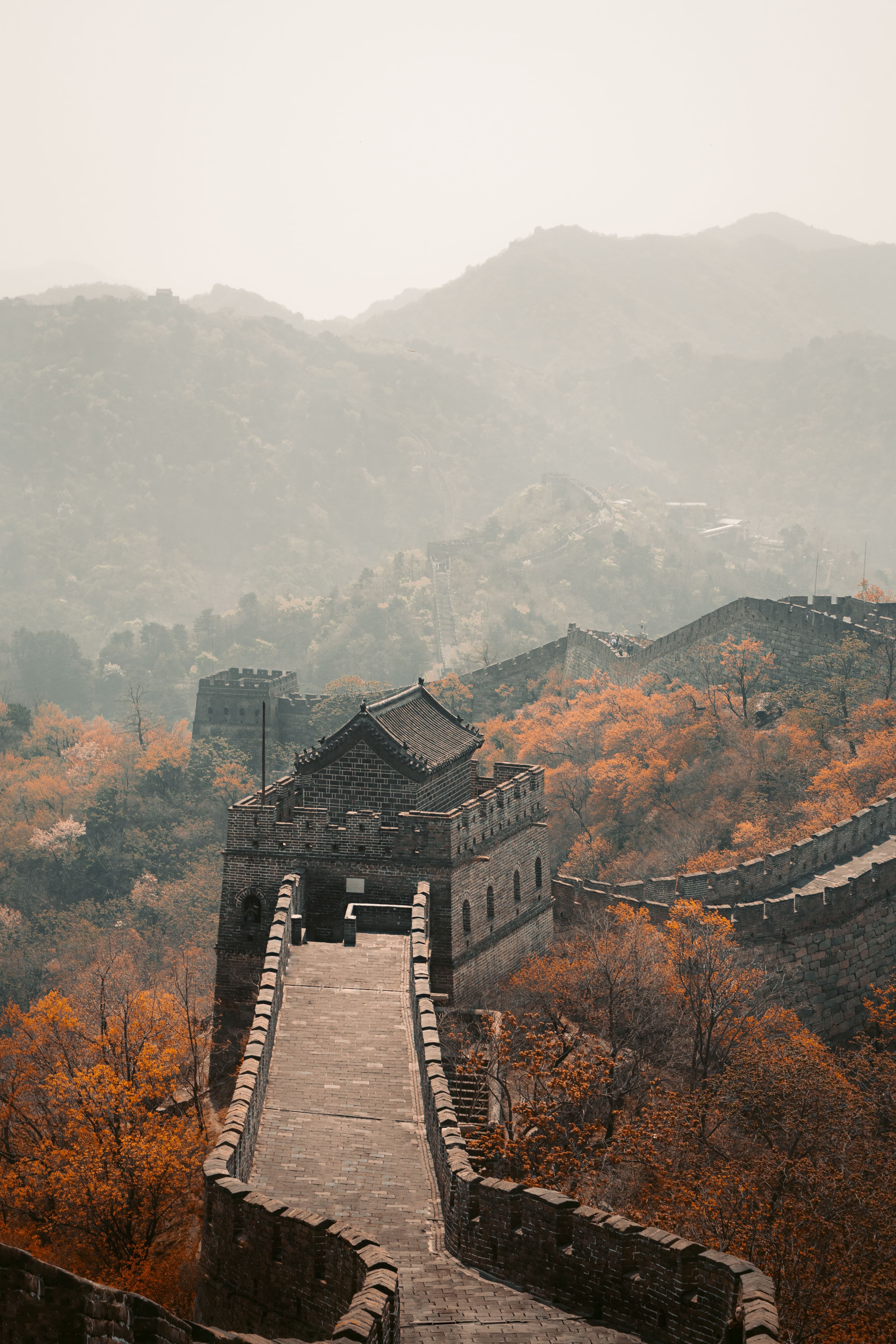 Dettaglio: Cina: l'anima imperiale e la Via della Seta