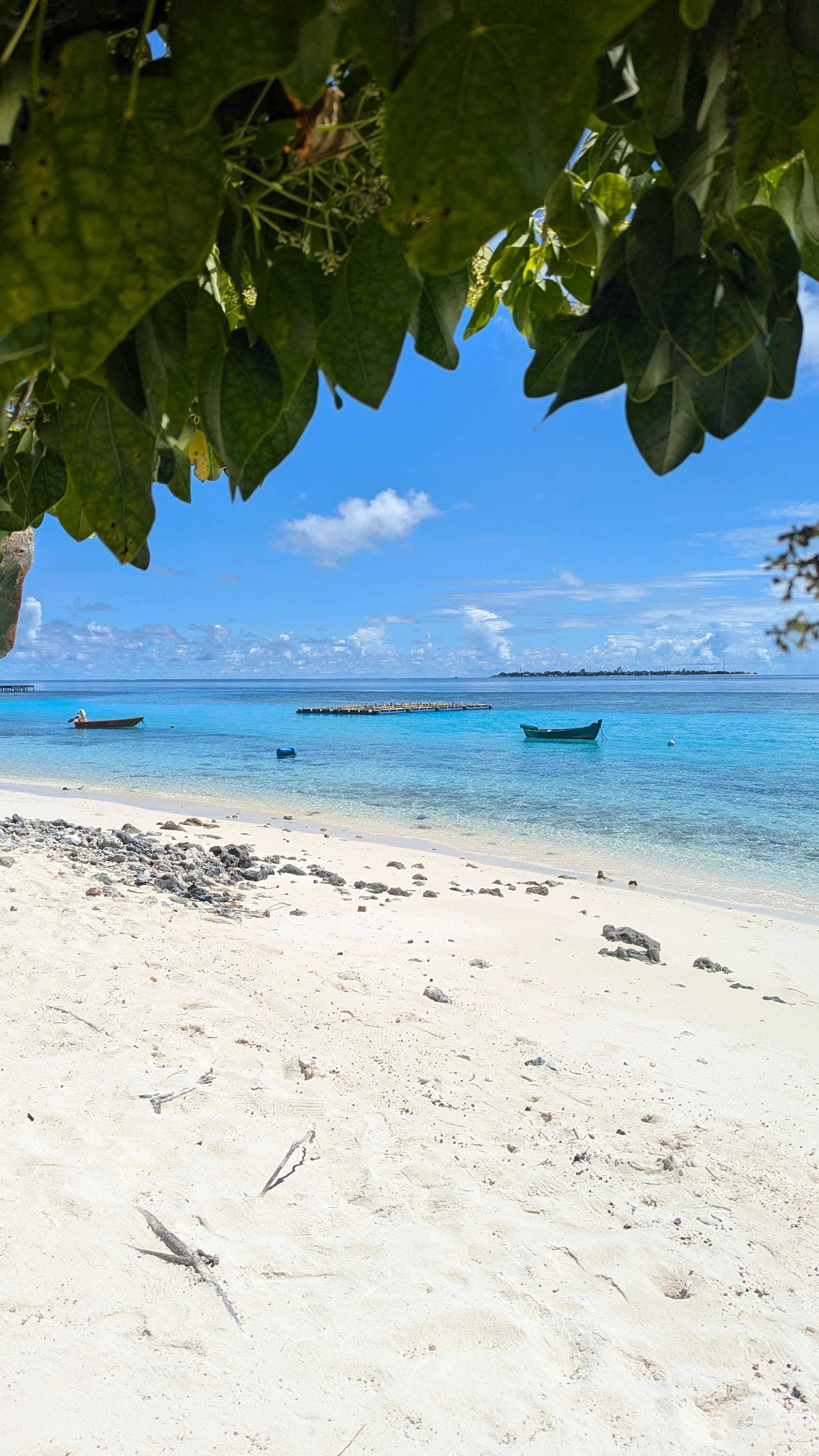 Sri Lanka e Maldive: dall’Isola del Tè al Paradiso, foto 1