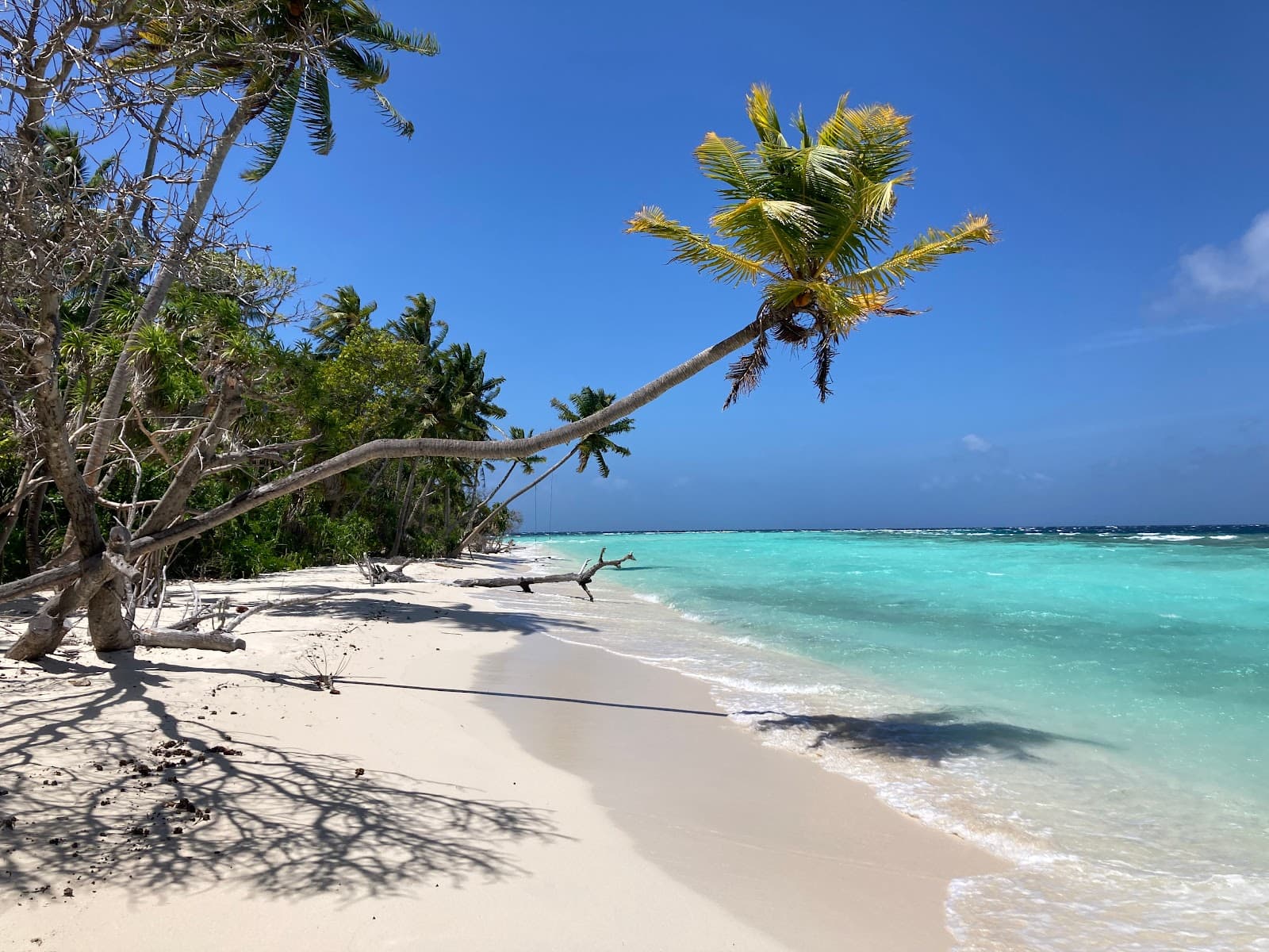 Foto di copertina: Maldive: Omadhoo Experience